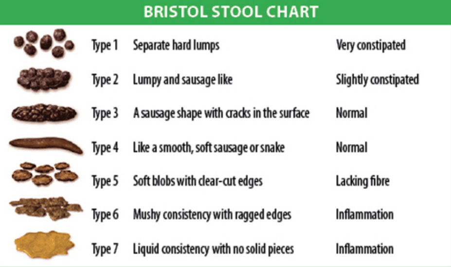 Your Poo And You What Your Bowel Movements Can Tell You About Your