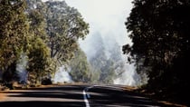 Stay safe on the roads by following these tips this bushfire season. Source: Getty
