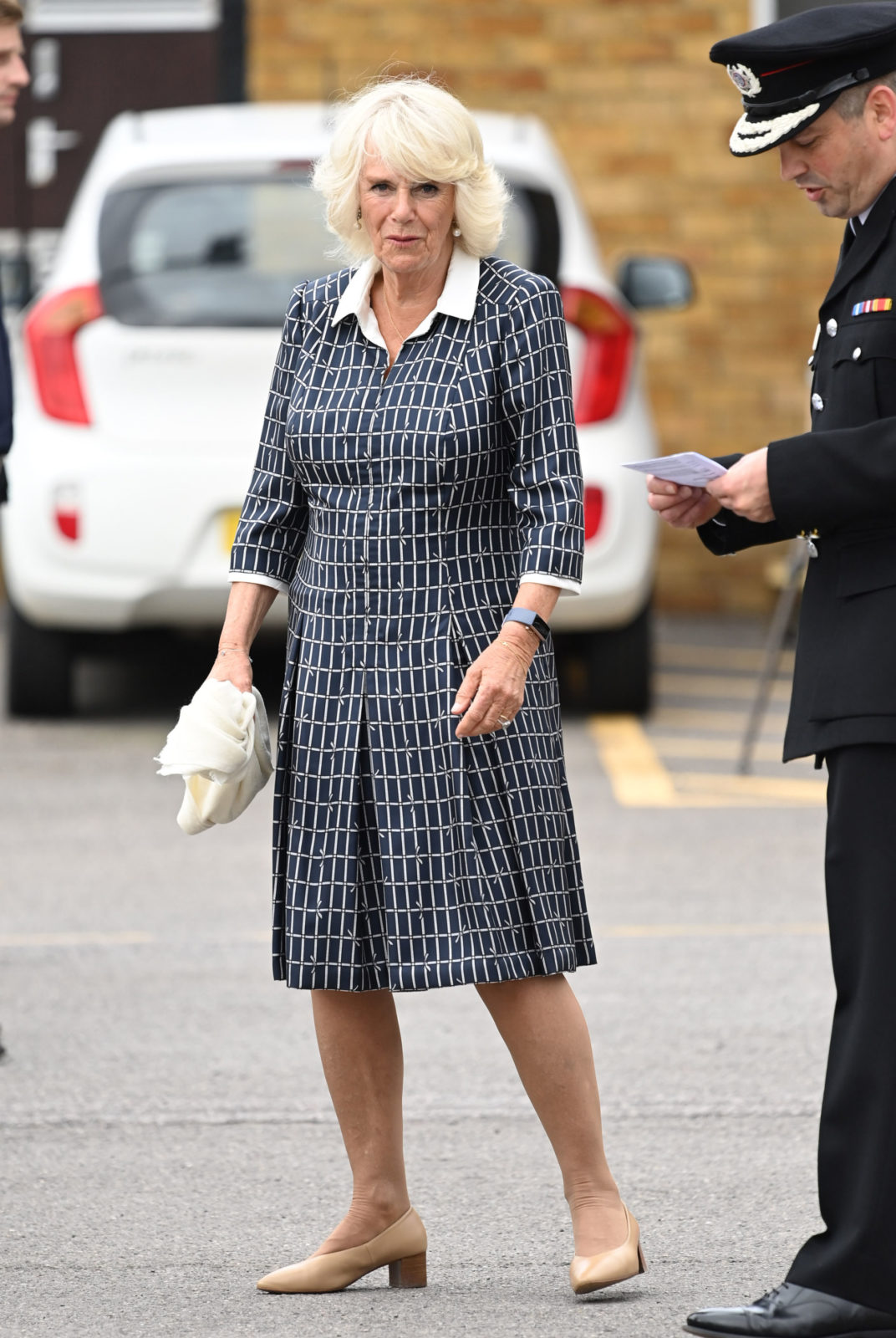 Camilla looks sensational in blue in never-before-seen birthday ...