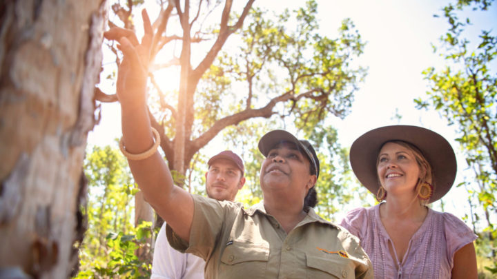 Kakadu National Park is a highlight of the region. 