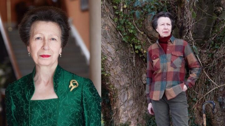 Royal family marks Princess Anne's birthday with release of new beautiful photos - Starts at 60