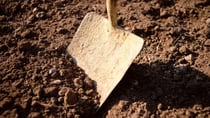 Building on family property might be more hassle than it's worth. Source: Getty.
