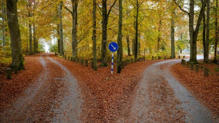 Choosing the right path for your money can be a tricky task. Source: Getty.