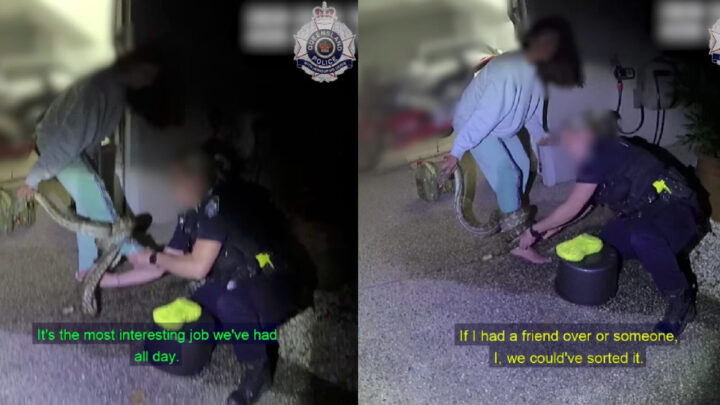 ‘Hell no’! Police rescue woman with 3-metre python coiled around her ...
