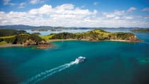 Explore the scenic beauty of the Bay of Islands aboard a luxury catamaran on an incredible solo adventure. Source: Supplied