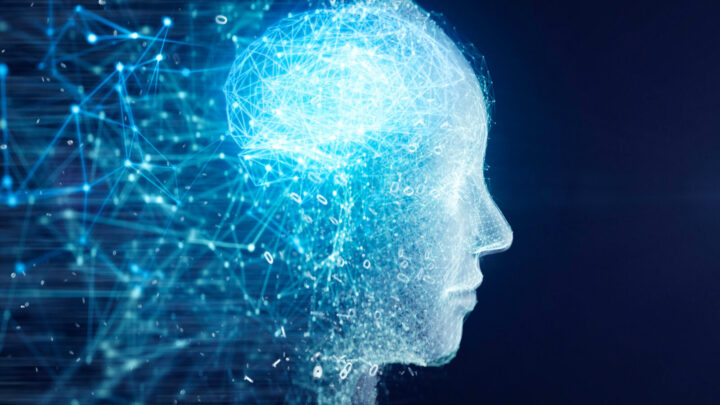 The human brain never stops working - requiring only a good supply of blood to do its many jobs. Source: Getty
