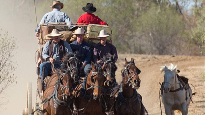 Experience a stagecoach ride on the old Longreach to Windorah mail route. Source: Supplied