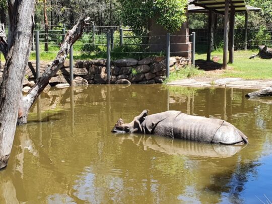 Taronga Western Plains Zoo Dubbo