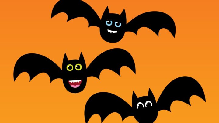 Daily Joke: A bat race - Starts at 60