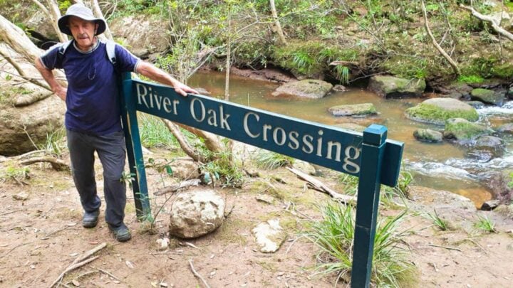 The walk journeys through patches of remnant rainforest, spotted gum forest, dry woodland and small hanging swamps. The small gorge is rich in Aboriginal heritage and sheer sandstone faces. Source: Ian Smith