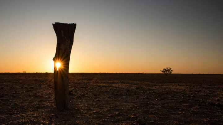 Walk in the footsteps of outback Queensland's lawless larrikin, Captain Starlight - Vimarsana News