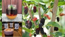 Mulberry Gin is a delightful treat. Source: Getty