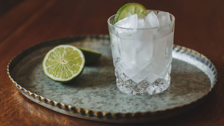 Gin and tonic in a cocktail glass sits on a metal tray surrounded you lime halves.