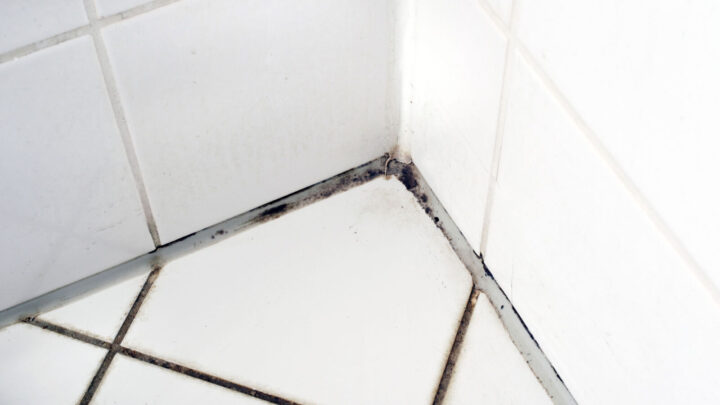 how-to-remove-black-mould-from-grout-effortlessly-starts-at-60