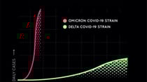 Spreading Speed Curve for COVID-19 (New Strain Called Omicron). Coronavirus. Dramatically Fast Spreading. Source: Getty 