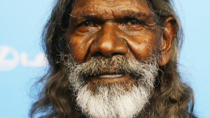 Revolutionary 'Crocodile Dundee' actor David Dalaithngu dies aged 68 - Vimarsana News