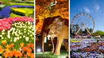 5 holidays perfect for garden and flower lovers