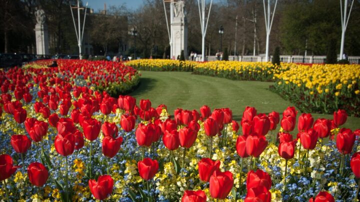 Upcoming garden themed holidays for green-thumbed travellers