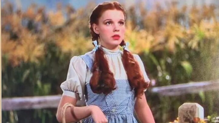 Judge Prevents Auction Of Long Lost Iconic ‘wizard Of Oz Dress Worn By Judy Garland Starts At 60 5939