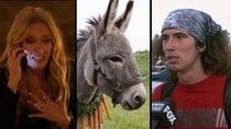 The troubled star of EO (Janus Films); Toni Collette in Mafia Mamma (Bleecker Street); Kai is The Hatchet Wielding Hitchhiker (Netflix). Source: Supplied