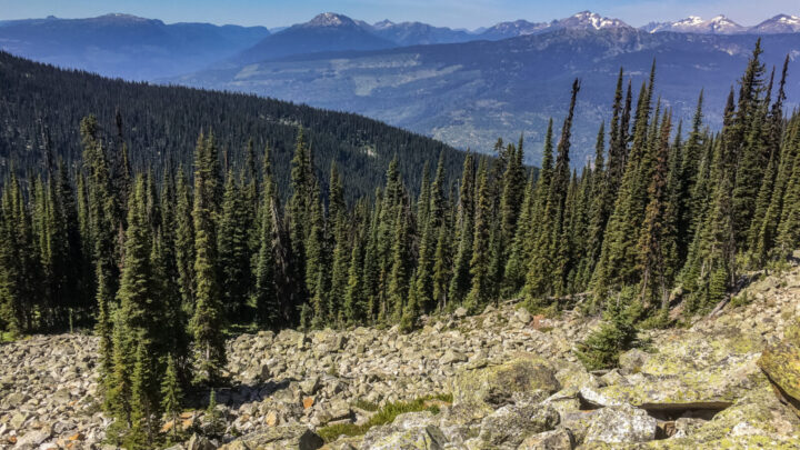Heli-hiking in Canada is the ultimate experience. Source: Getty