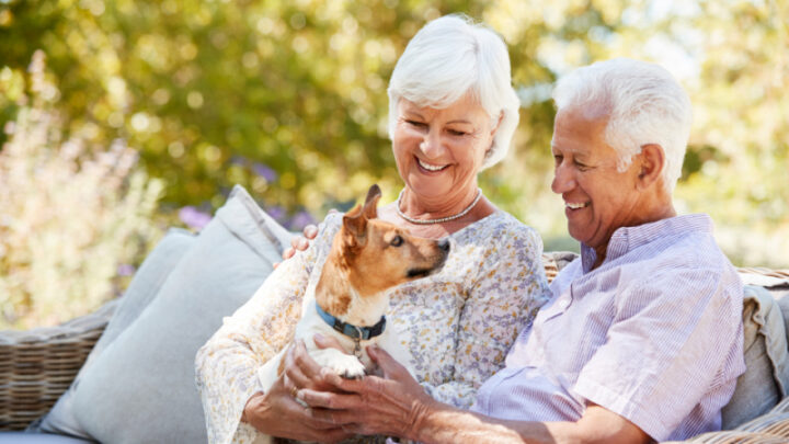 Everything you need to know about pet friendly retirement villages ...