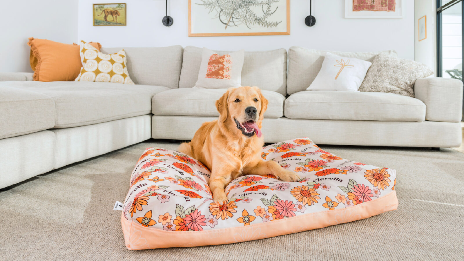 Pawfect House Unconditional Love in A Furry Bag