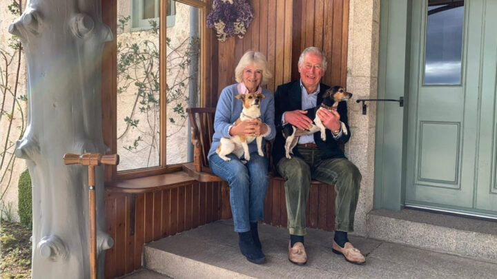The Jack Russell Terrier breed is experiencing a surge in popularity as they become the new royal canines in Buckingham Palace. Source: Instagram @Clarencehouse