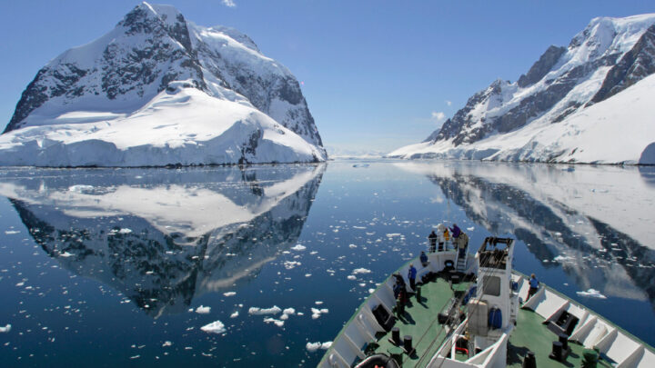 The Frozen Continent is home to some incredible wildlife. Source: Getty