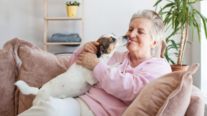 Not only will your dog love these treats, but you'll love the results. Source: Getty