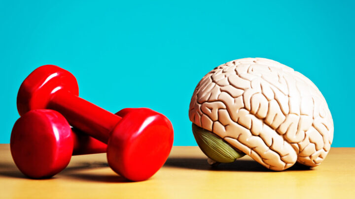 This breakthrough may hold promising prospects for older individuals who may find it challenging to partake in regular exercise. Source: Getty Images.