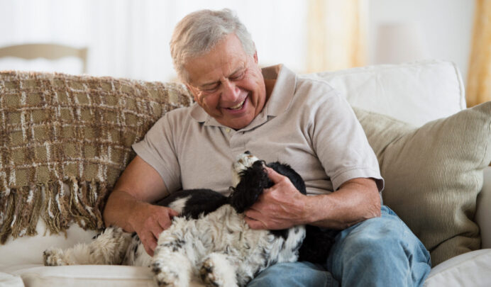 What happens if your beloved pet outlives you? Source: Getty Images. 