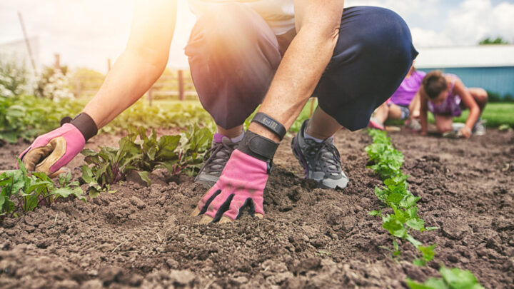 With these ideas in mind, you can approach the warmer season with confidence and inspiration, ready to make the most of your gardening efforts. Source: Getty Images. 