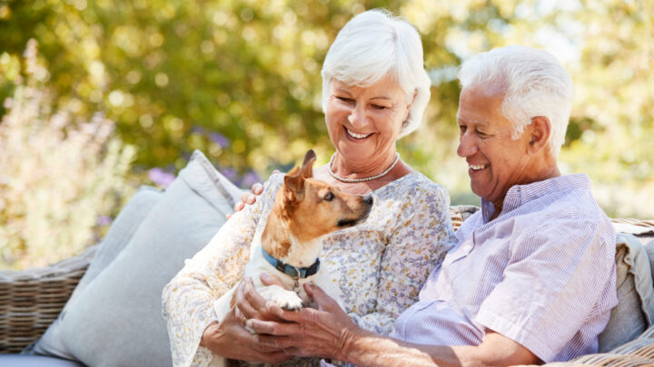 Our blogger explores how Aussies are redefining doggy lifestyles, spending up big to pamper their furry friends. Source: Getty Images. 