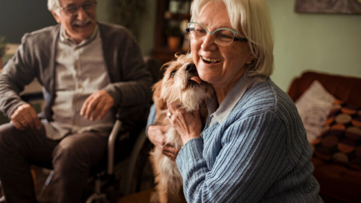 While some pet owners remain loyal to traditional favourites, others are finding inspiration in surprising places. Source: Getty Images. 