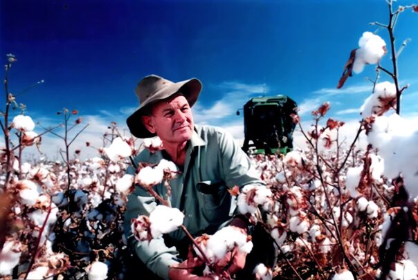 Farming, family and the devastating cost of losing a business