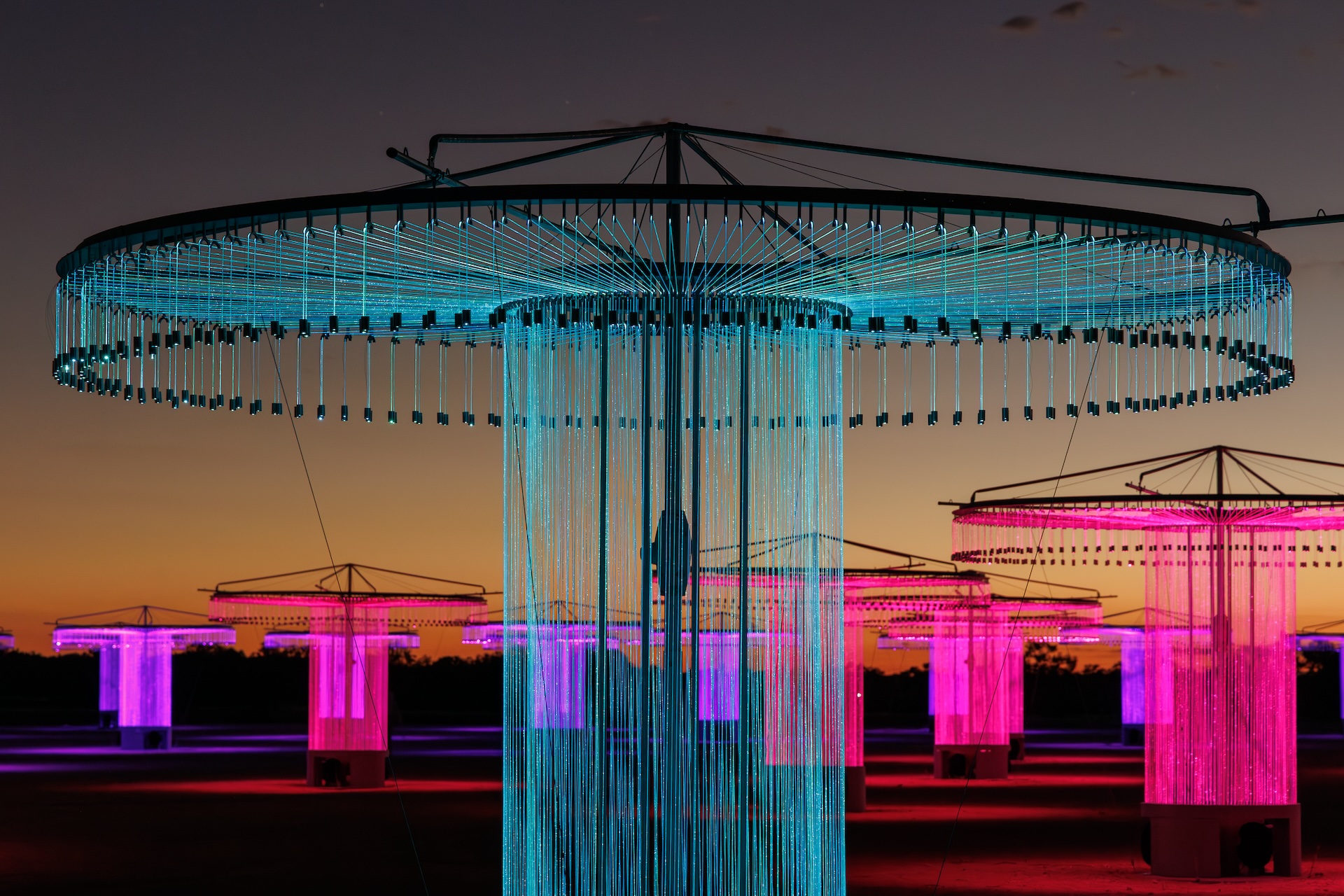FOSO by Bruce Munro. Photo: Serena Munro