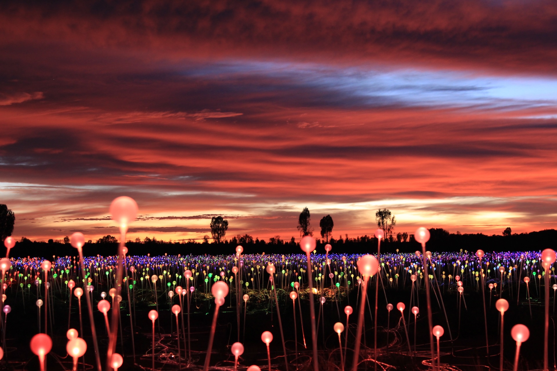 Field of Light by Bruce Munro. Photo: Serena Munro