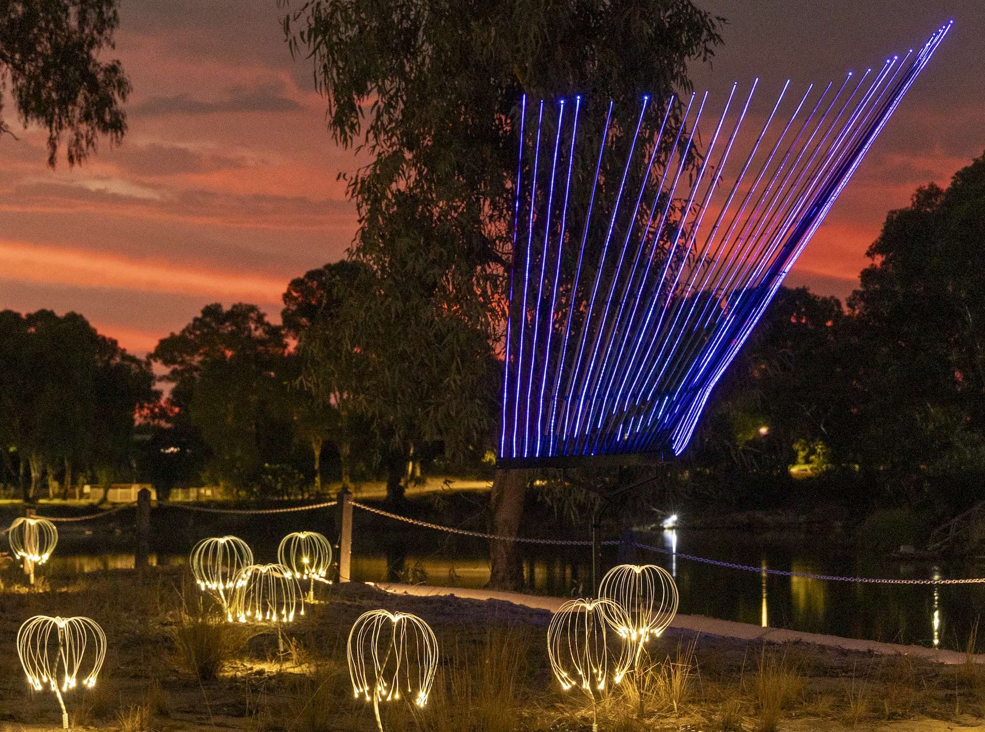 Trail of Lights by Bruce Munro. Photo: Serena Munro